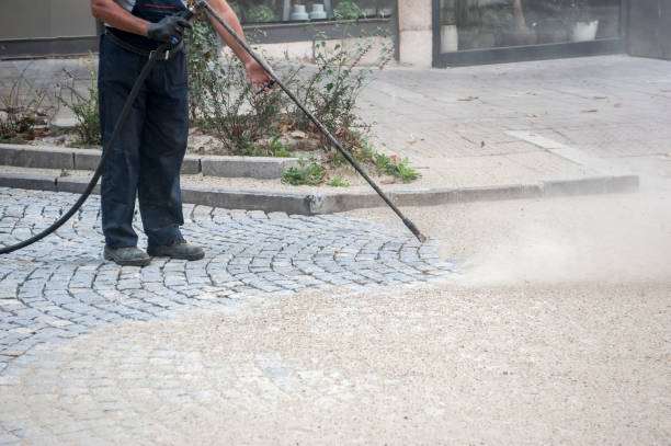 Best Sidewalk and Walkway Cleaning  in Big Coppitt Key, FL